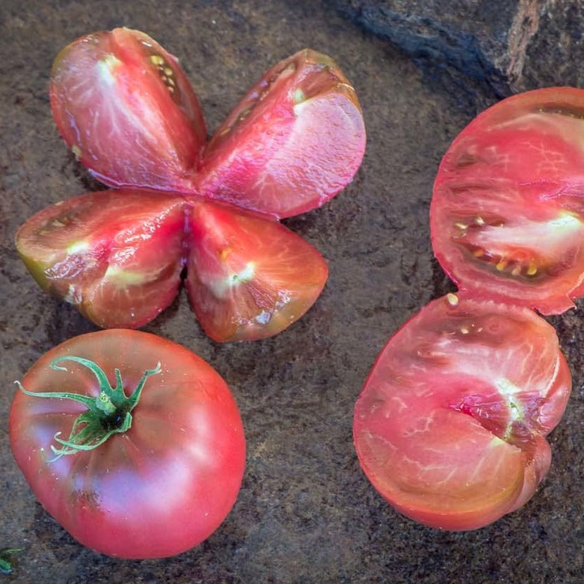 Slicer Tomatoes — Wild Grown Farm