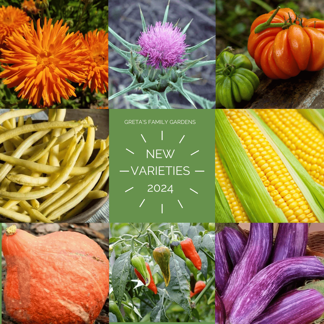 2024 New Varieties