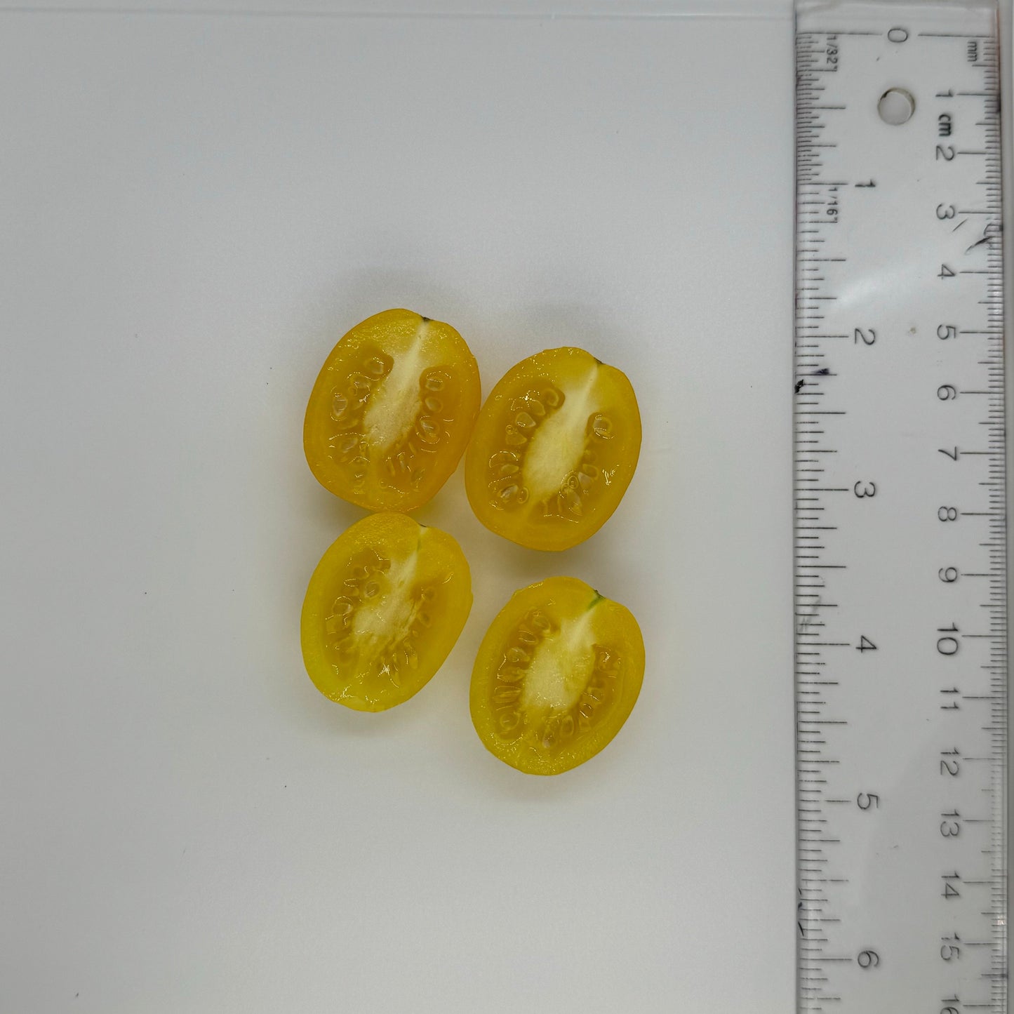 Yellow Grape Tomato - Organic