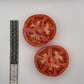 Wisconsin 55 Tomate - Biologique