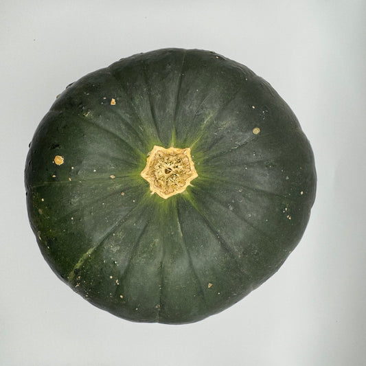 Courge Zapallito del Tronco - Biologique