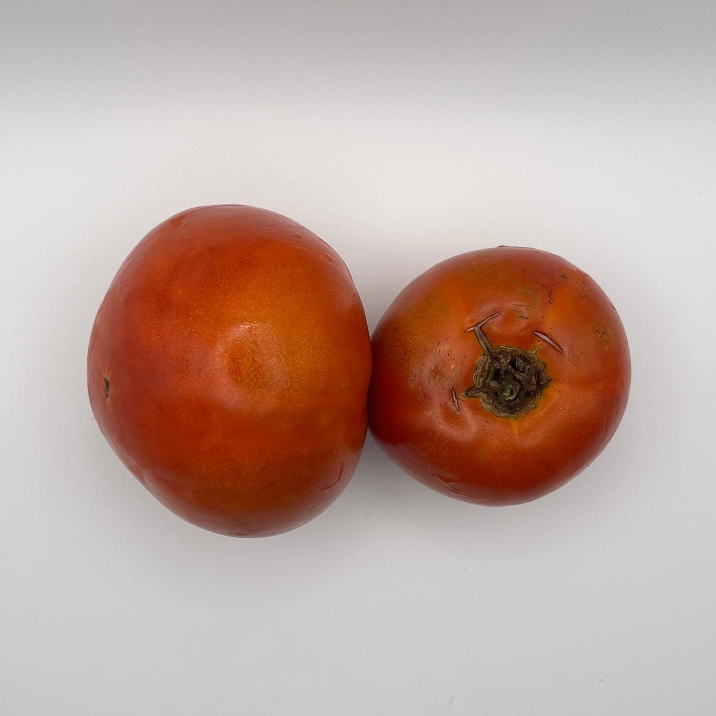 Beefsteak Blumen Tomato - Greta's Family Gardens