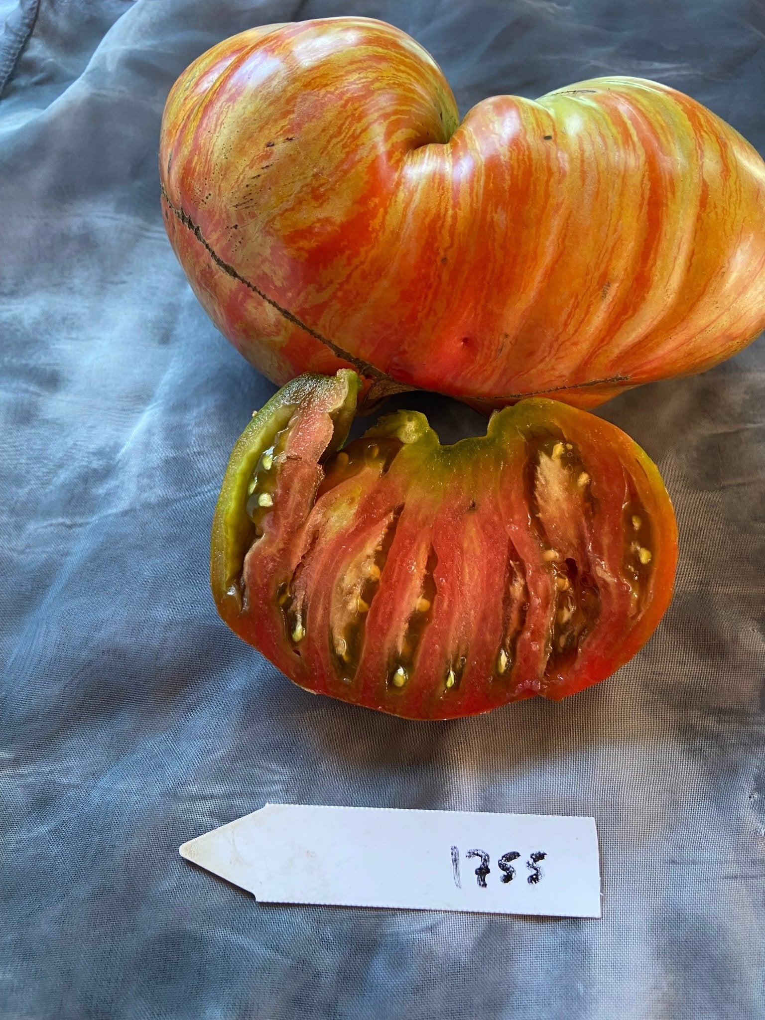 Berkeley Tie - Dye Heart Tomato - Greta's Family Gardens