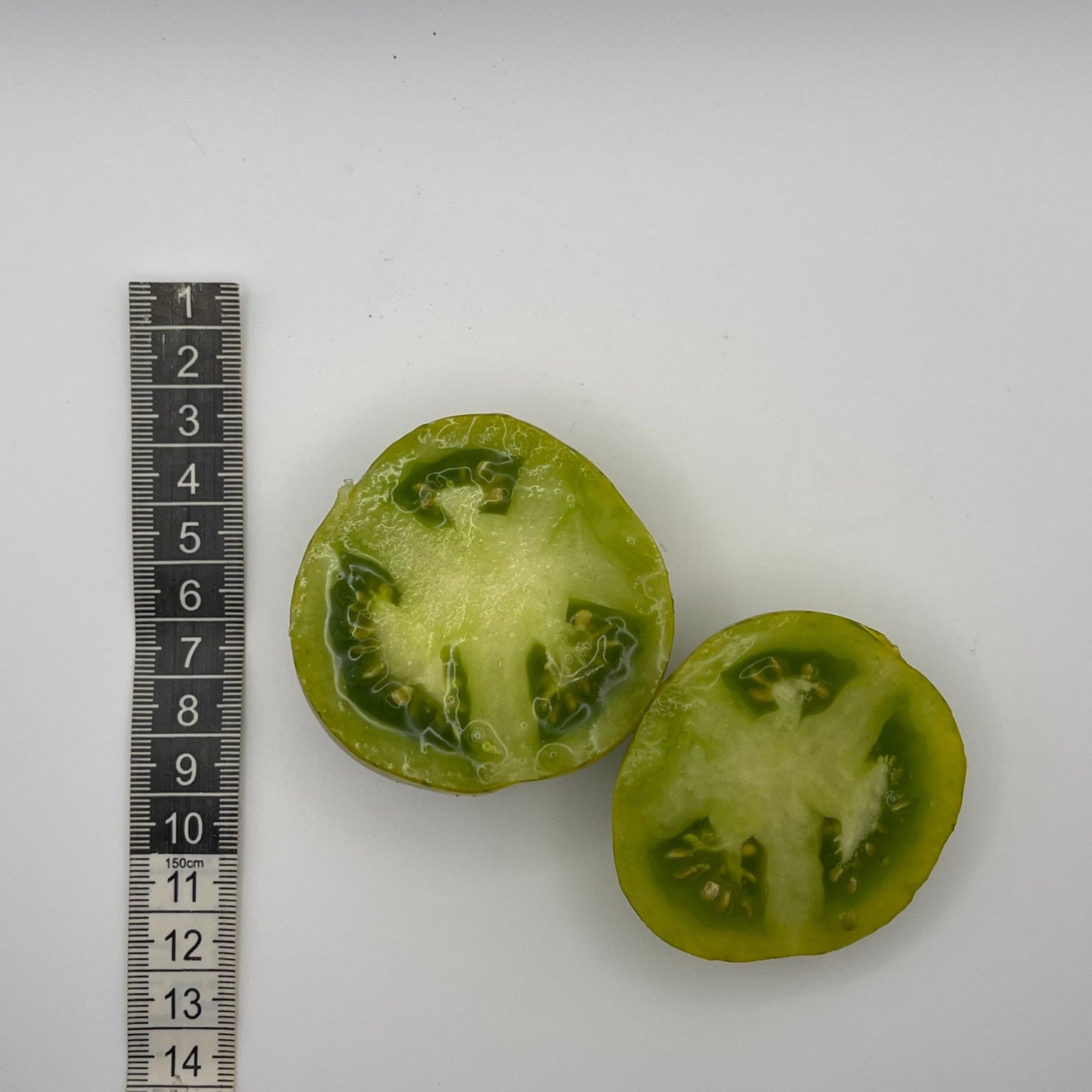 Big Zebra Tomato - Greta's Family Gardens