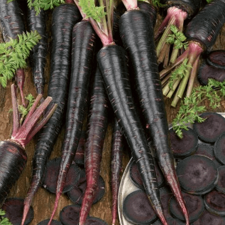 Black Nebula Carrots - Organic - Greta's Family Gardens