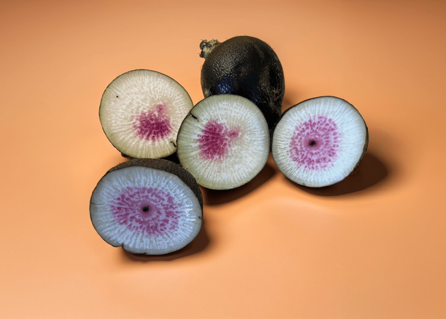 Black Spanish Watermelon Winter Radish - Greta's Family Gardens