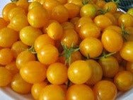 Blondkopchen Tomato - Greta's Family Gardens