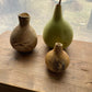 Bottle Gourd - Greta's Family Gardens