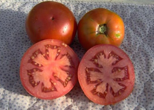 Brag Tomato - Greta's Family Gardens