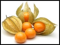 Cape Gooseberry Groundcherry - Greta's Family Gardens