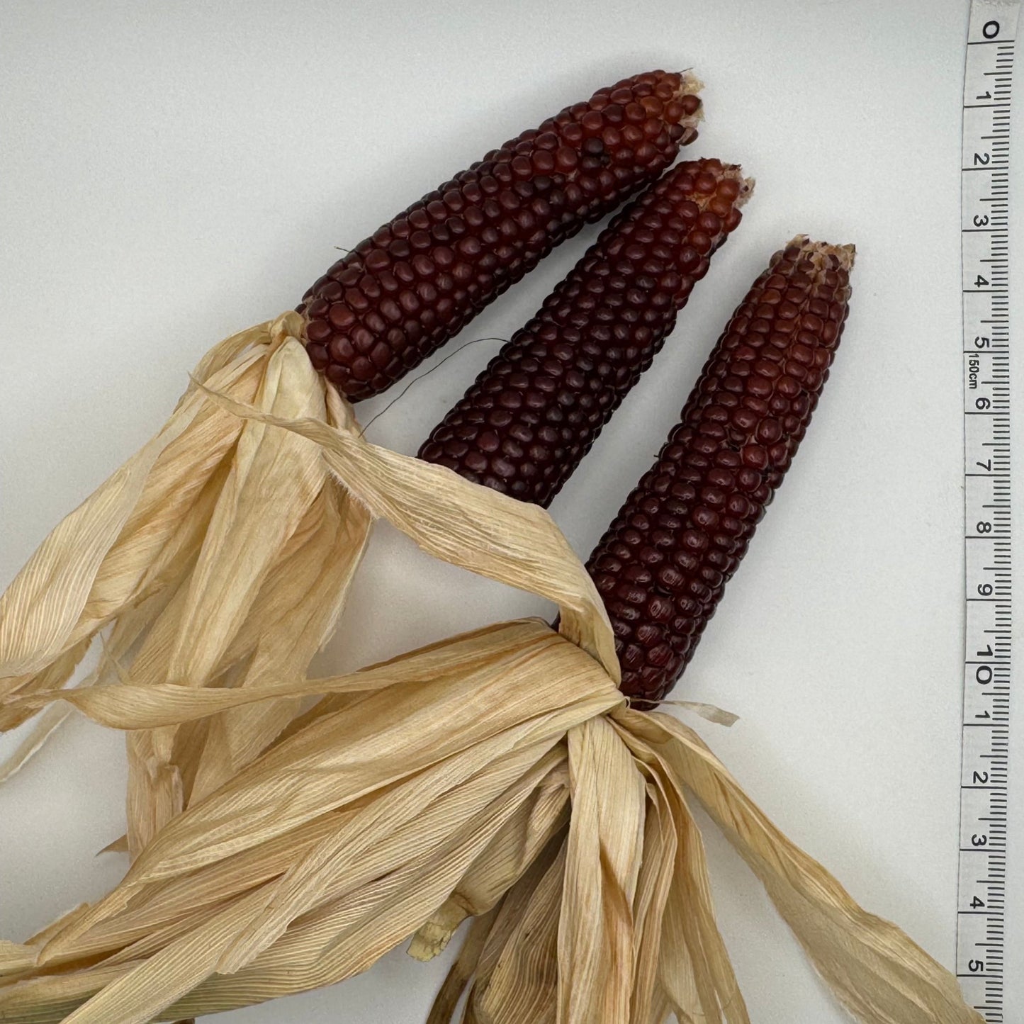 Chires Baby Corn - Greta's Family Gardens