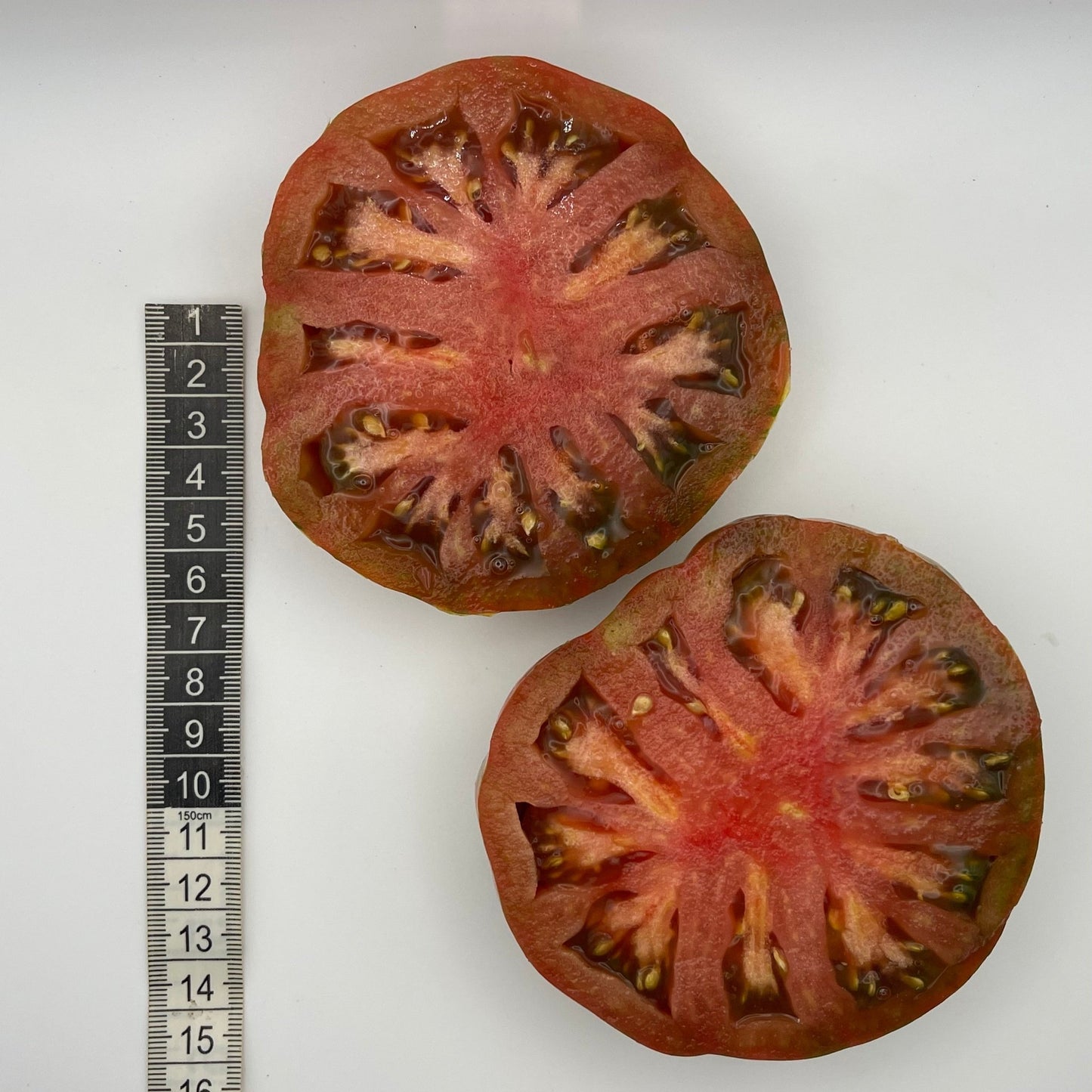 Chocolate Lightning Tomato - Greta's Family Gardens