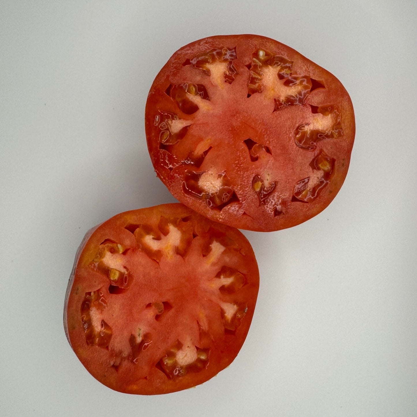 Costoluto Punto Tomato - Greta's Family Gardens