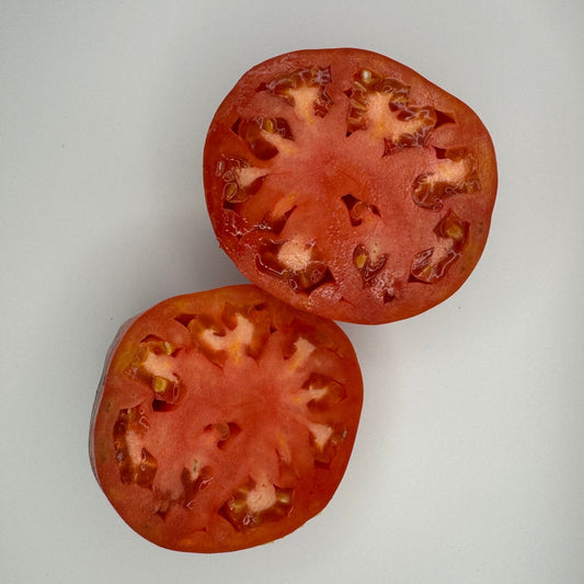 Costoluto Punto Tomato - Greta's Family Gardens