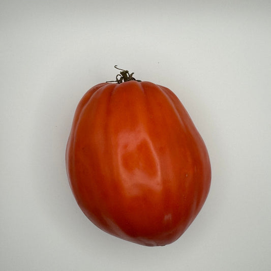 Costoluto Punto Tomato - Greta's Family Gardens