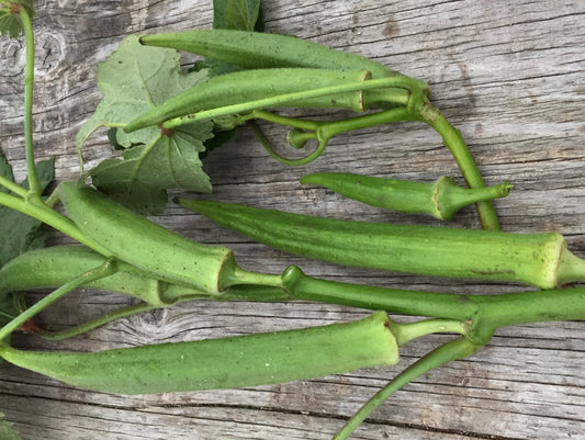 Emerald Okra - Greta's Family Gardens