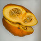 Golden Scallopini Squash - Greta's Family Gardens