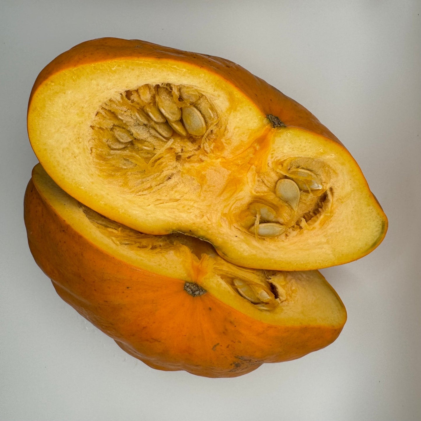 Golden Scallopini Squash - Greta's Family Gardens