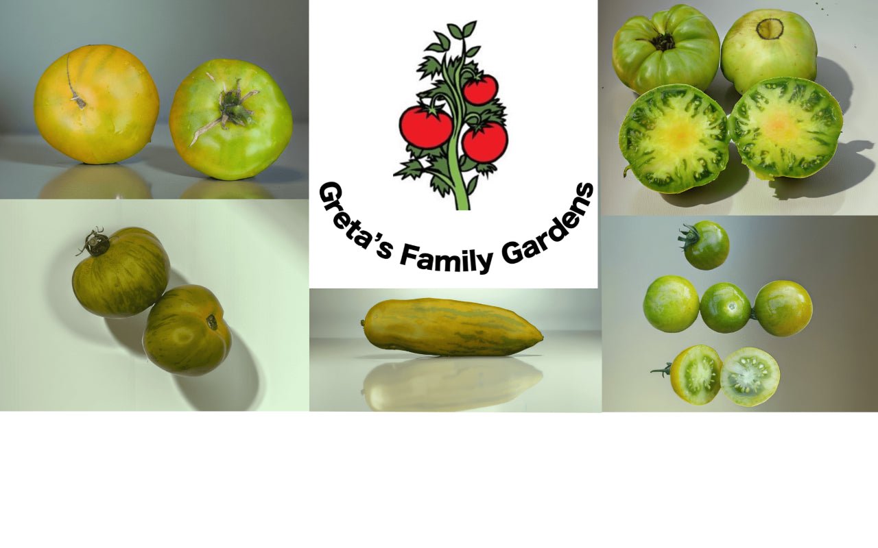 Green Tomato Collection - Organic - Greta's Family Gardens