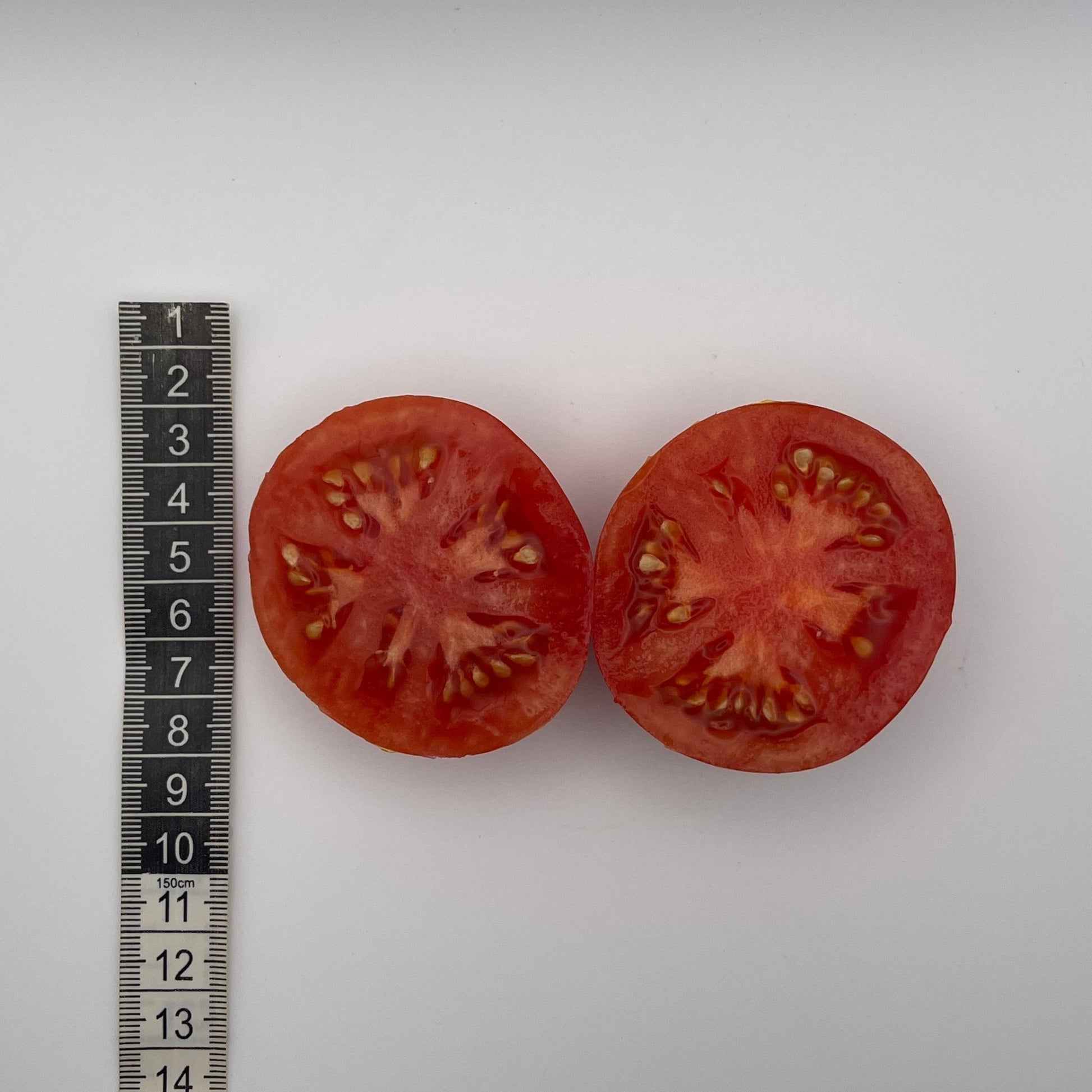 Japanese Dwarf Tomato - Greta's Family Gardens