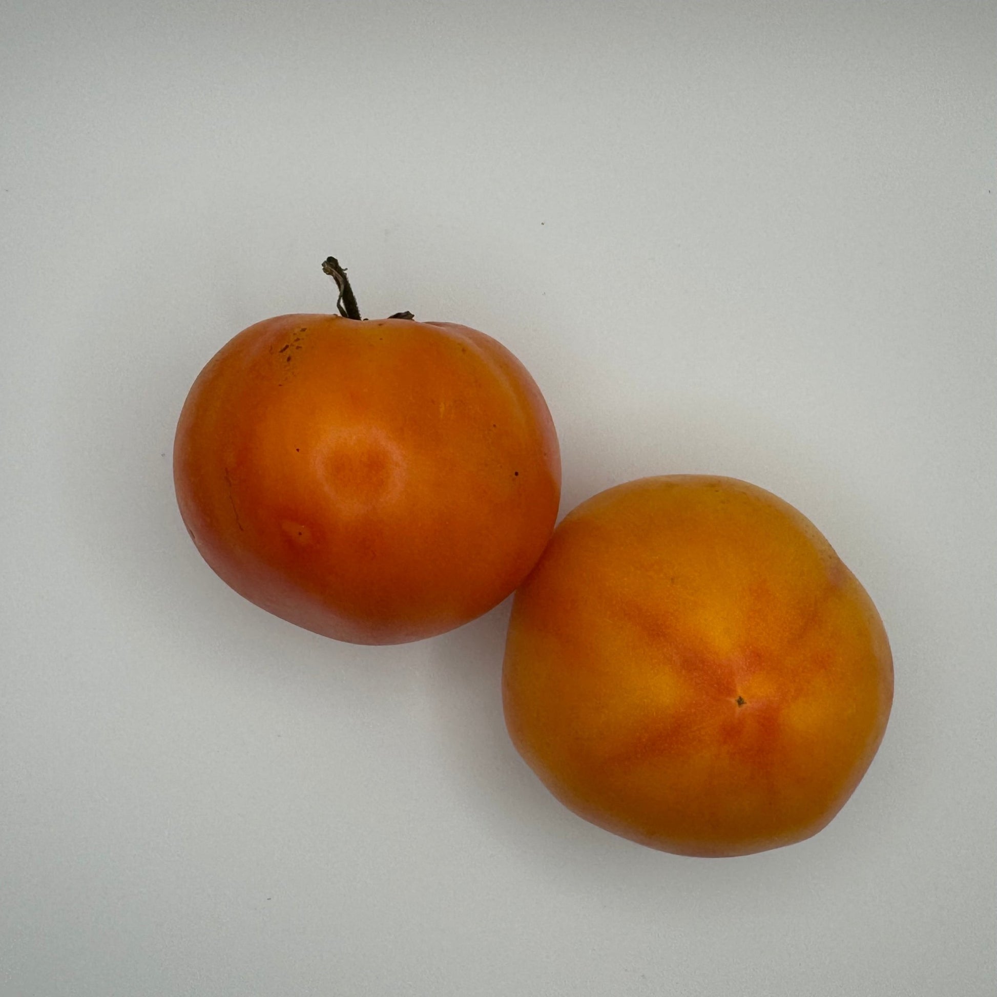 Little Lucky Tomato - Greta's Family Gardens