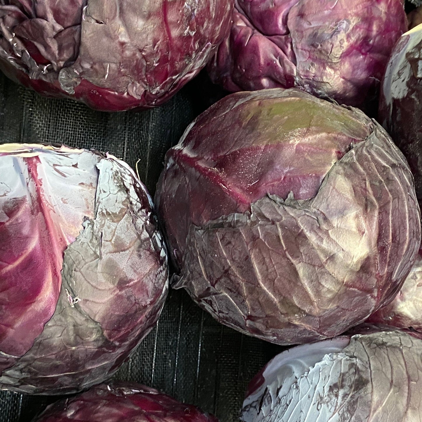 Red Express Cabbage - Greta's Family Gardens