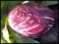 Red Radicchio - Greta's Family Gardens