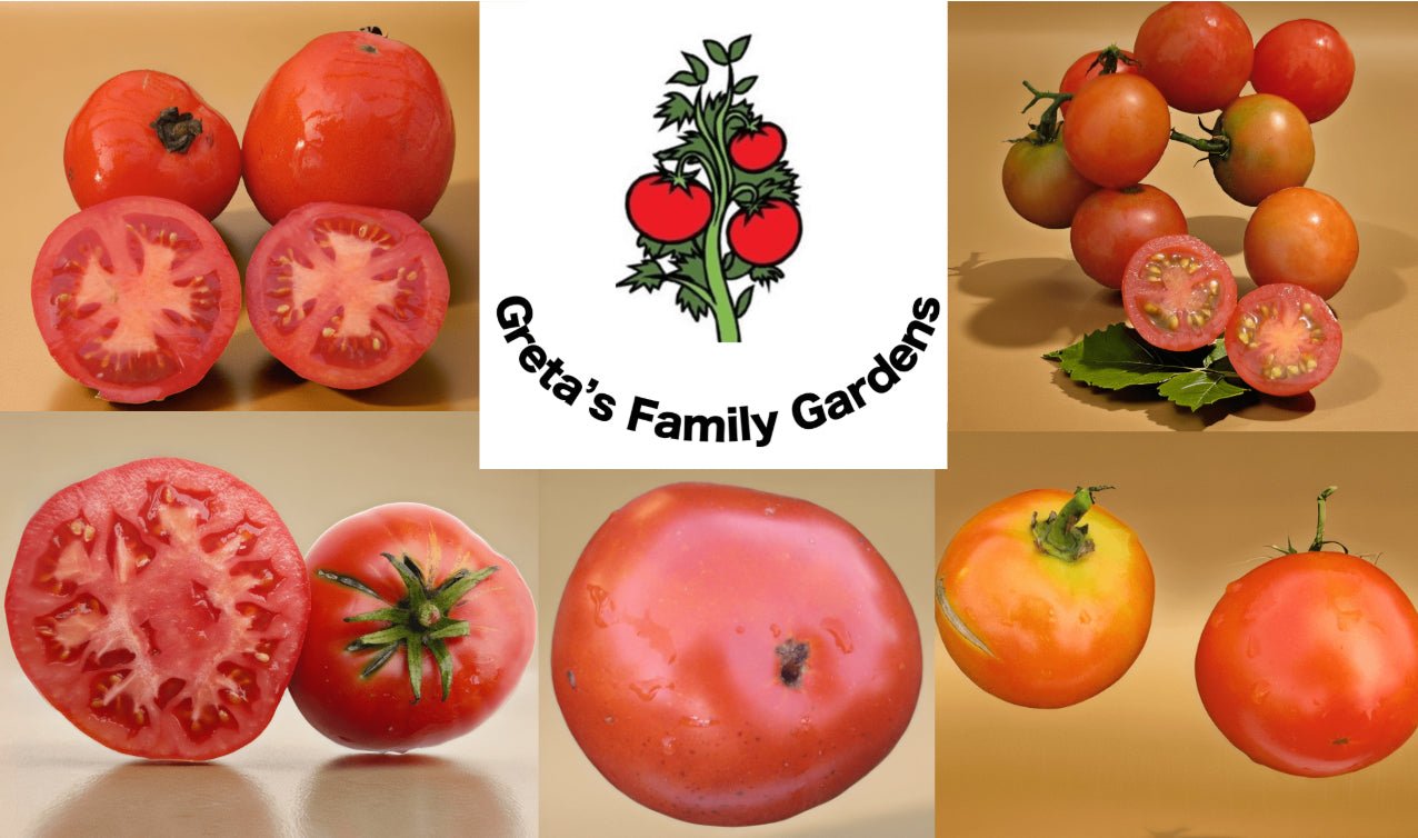 Red Tomato Collection - Organic - Greta's Family Gardens