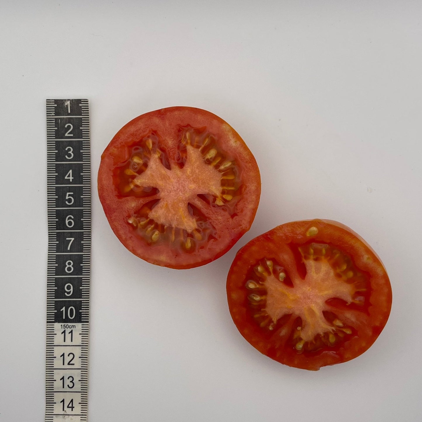 Red Zebra Tomato - Greta's Family Gardens