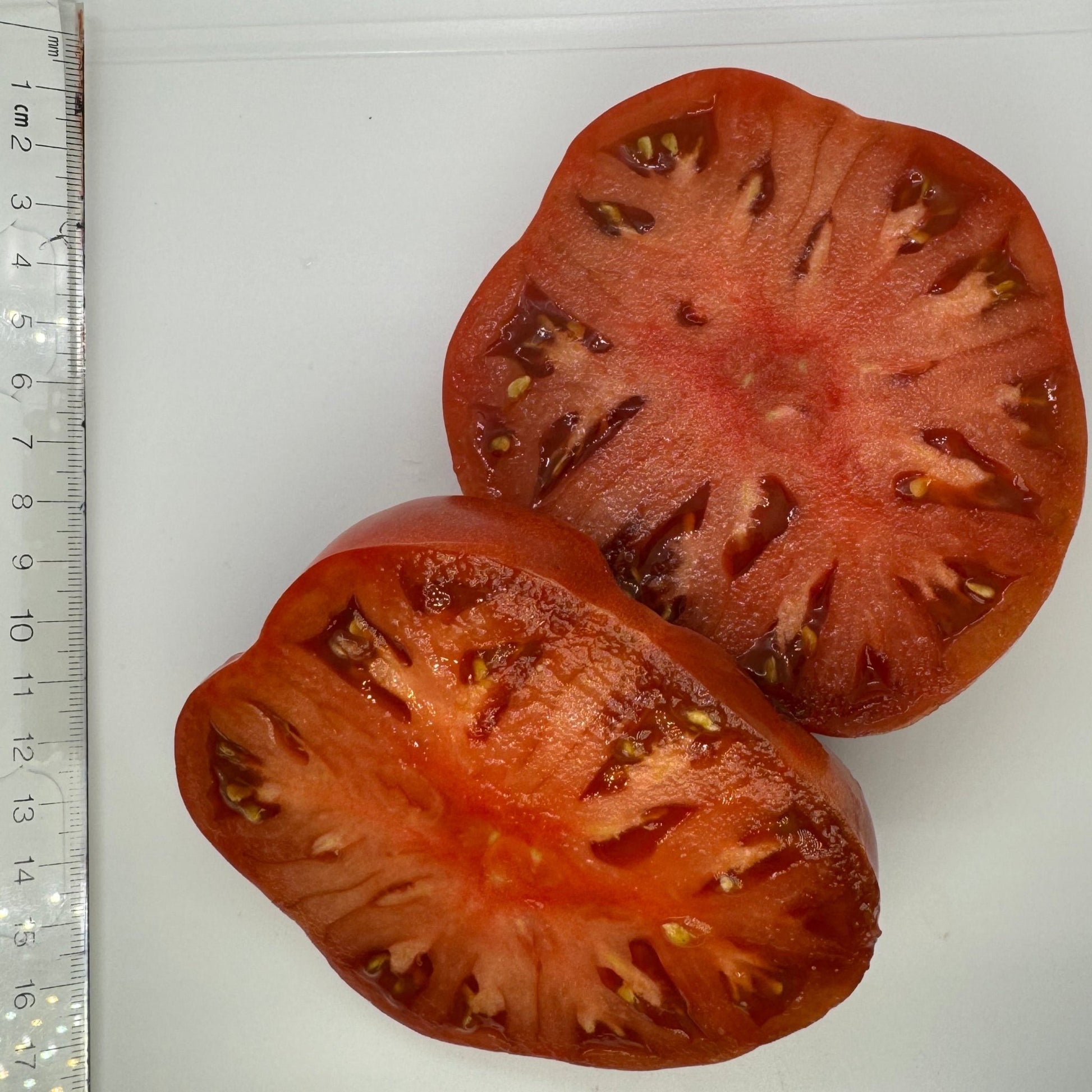 Rosella Purple Tomato - Greta's Family Gardens