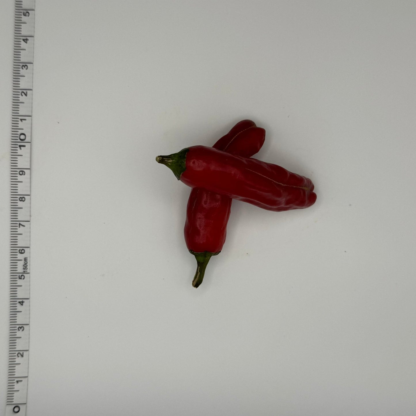 Shishito Hot Pepper - Greta's Family Gardens