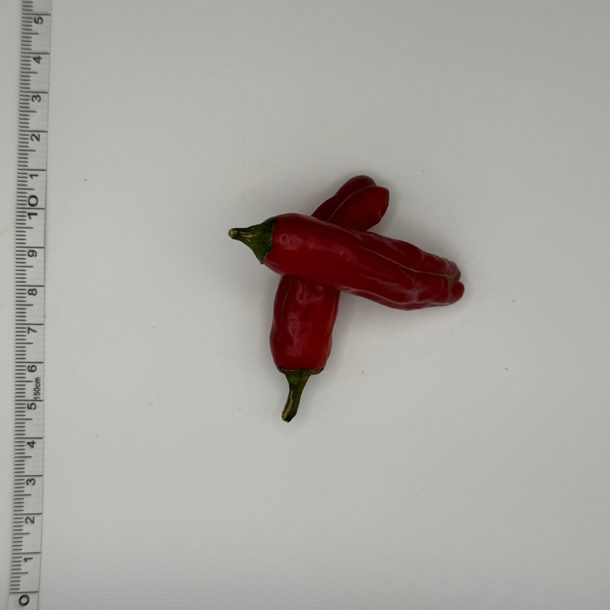 Shishito Hot Pepper - Greta's Family Gardens