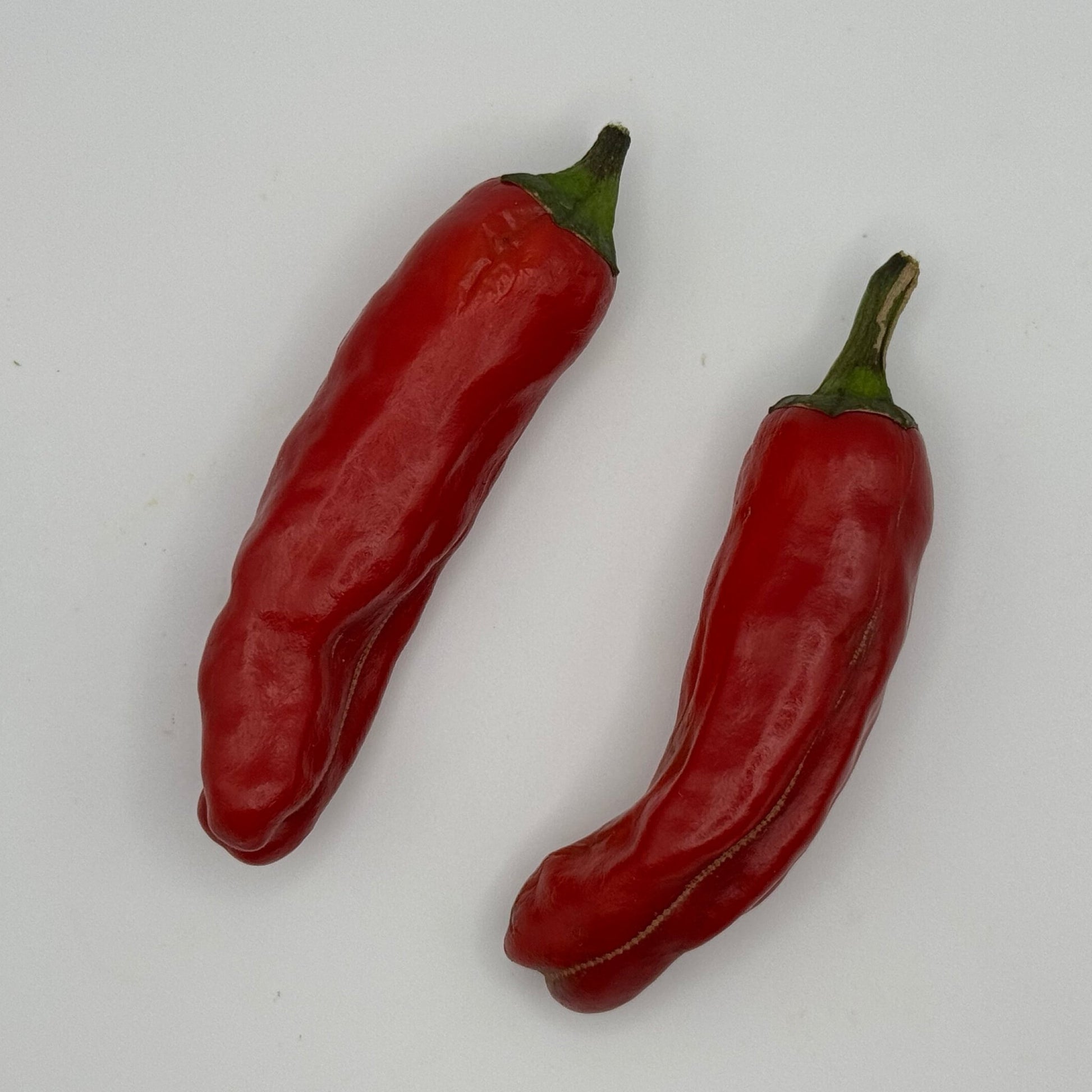 Shishito Hot Pepper - Greta's Family Gardens