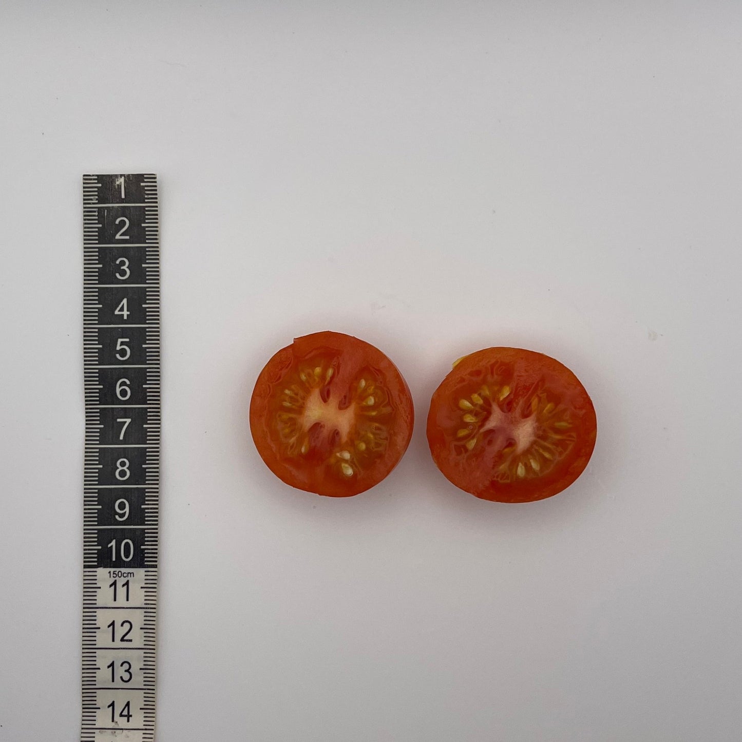 Siberian Tiger Tomato - Greta's Family Gardens