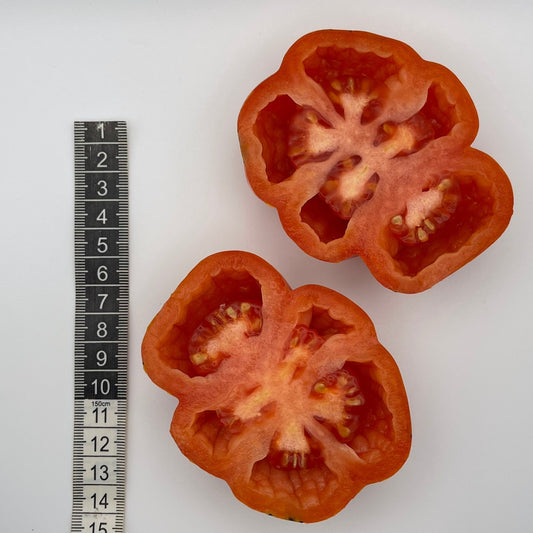 Stuffed Tomato - Greta's Family Gardens