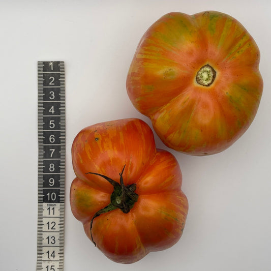 Stuffed Tomato - Greta's Family Gardens