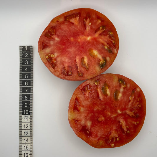 Tomato Giant Belgium - Greta's Family Gardens