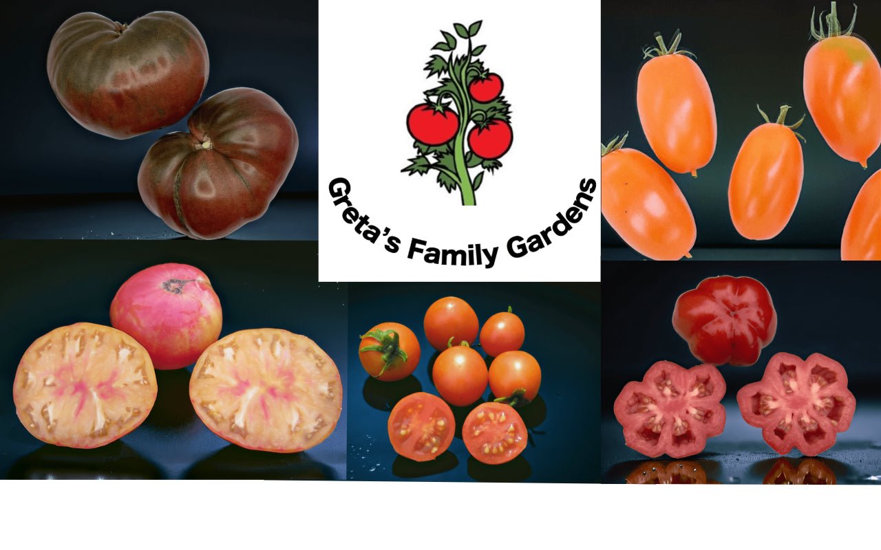 Tomato Size and Shape Collection - Organic - Greta's Family Gardens