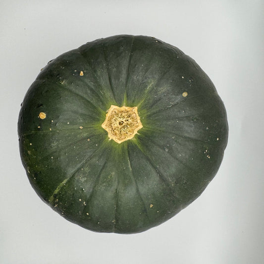 Zapallito del Tronco Squash - Greta's Family Gardens