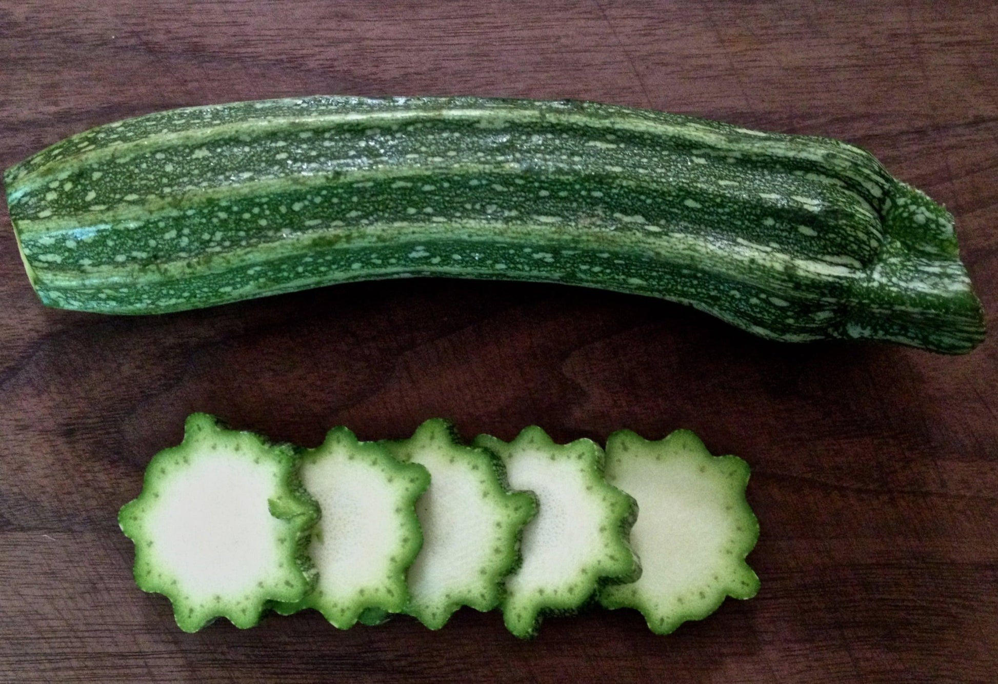 Zucchini Costata Romanesco - Organic - Greta's Family Gardens