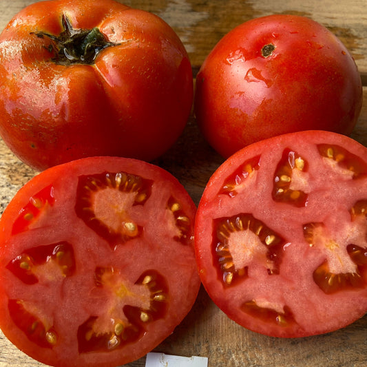 Moskovitch' - (Non-GMO) - Slicer Tomato Seeds - 200mg - (Heirloom)