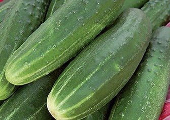 CUCUMBERS