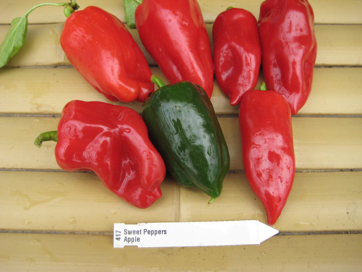 Apple Sweet Pepper - Organic - Greta's Family Gardens