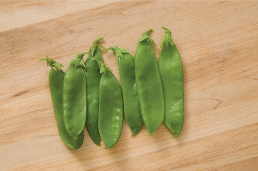 Avalanche Snow Peas - Organic - Greta's Family Gardens