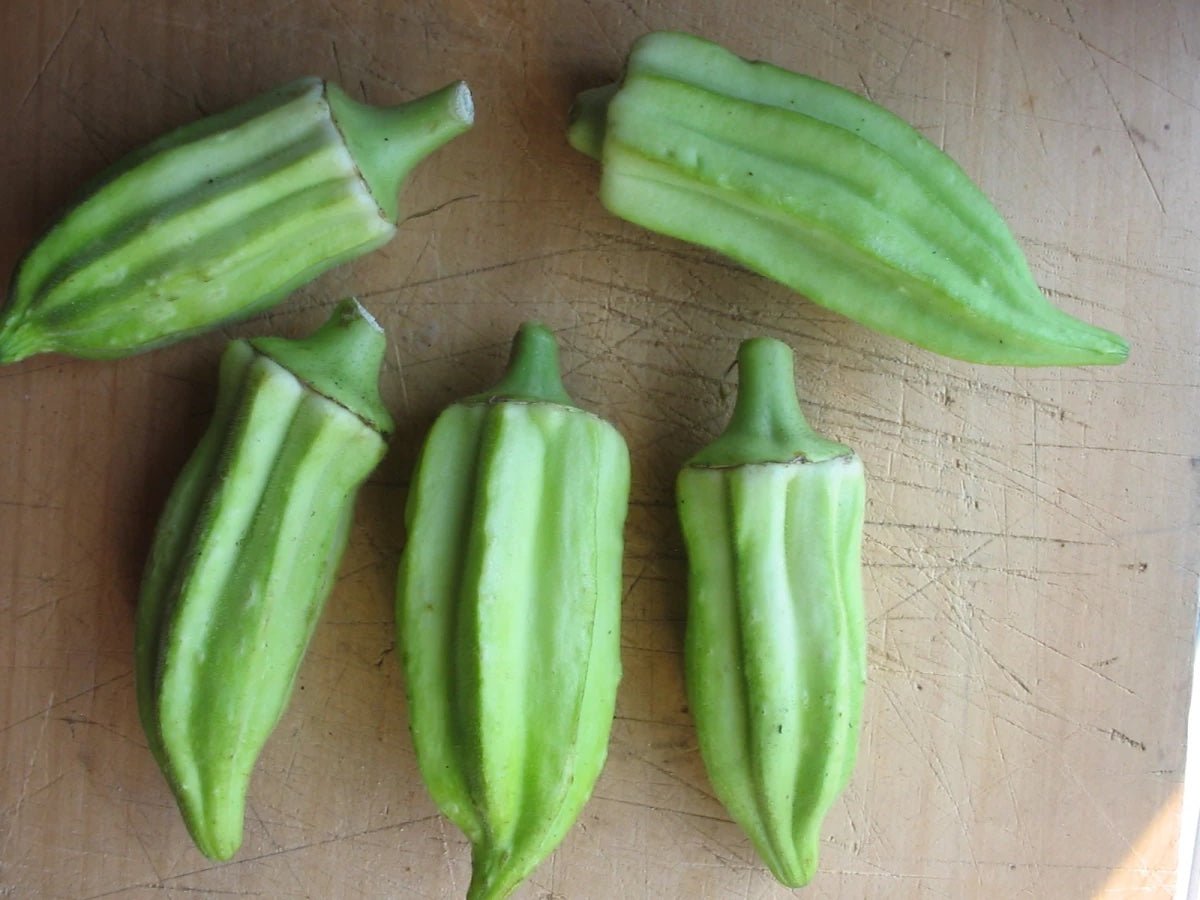 Beck's Big Buck Okra - Greta's Family Gardens