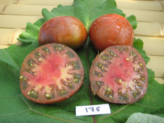 Black Krim Tomato - Organic - Greta's Family Gardens