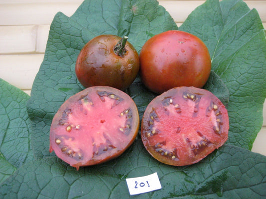 Black Russian Tomato - Organic - Greta's Family Gardens