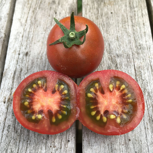 Bundaberg Rumball Tomato - Organic - Greta's Family Gardens