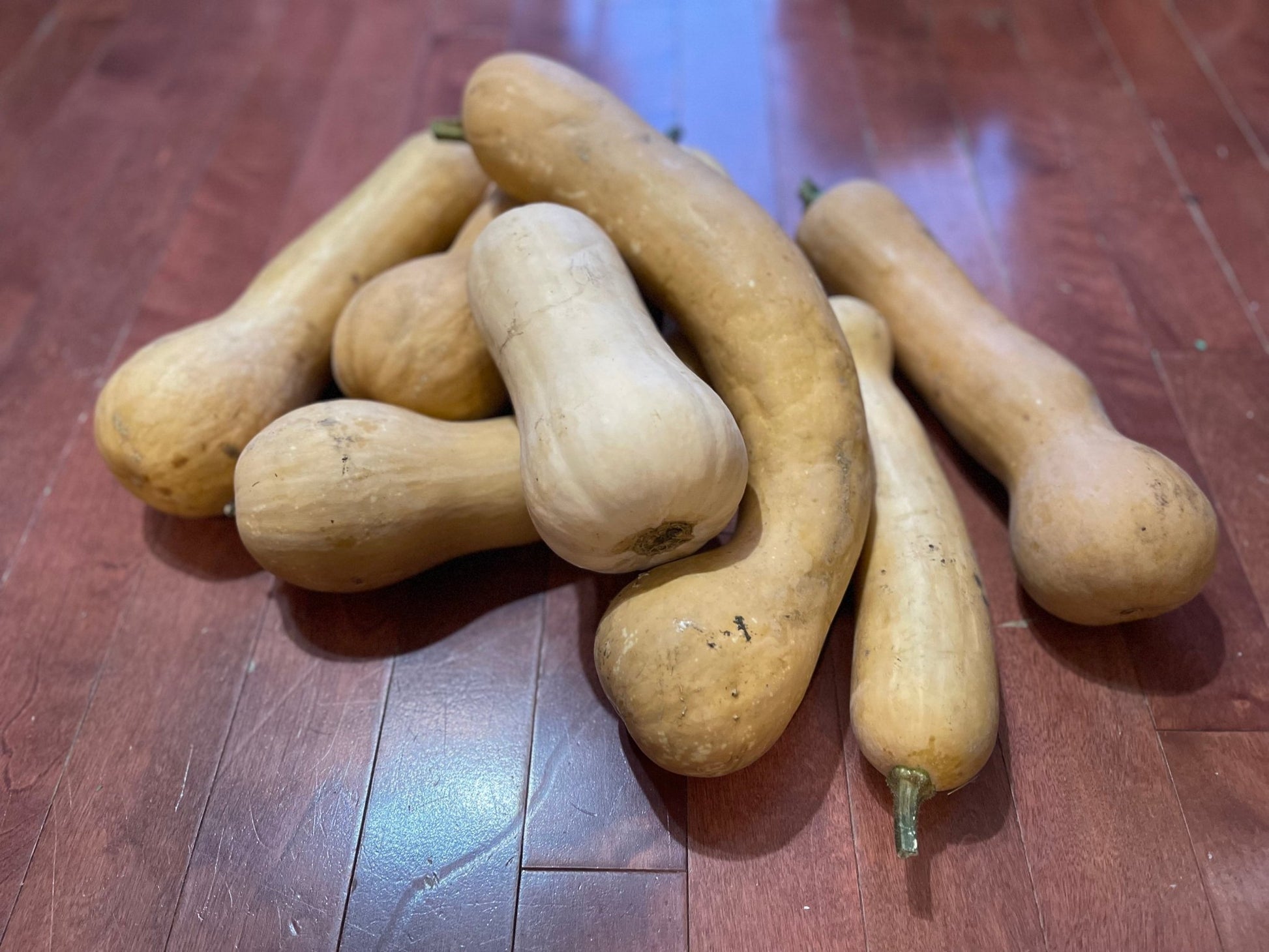 Butternut Squash Mix - Greta's Family Gardens