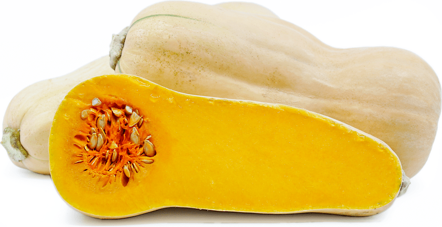 Butternut Waltham Squash - Organic - Greta's Family Gardens